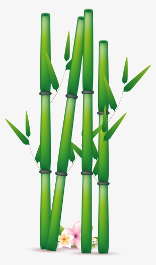 Bamboo Png Transparent Free Images - Clipart Bamboo Png