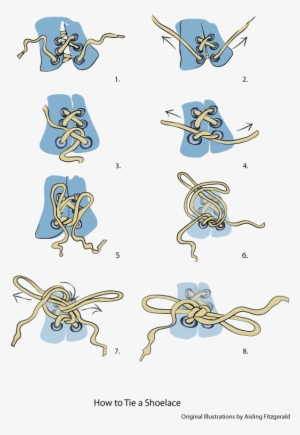 Information Leaflet Illustrating How To Tie A Shoelace - Visual Instructions