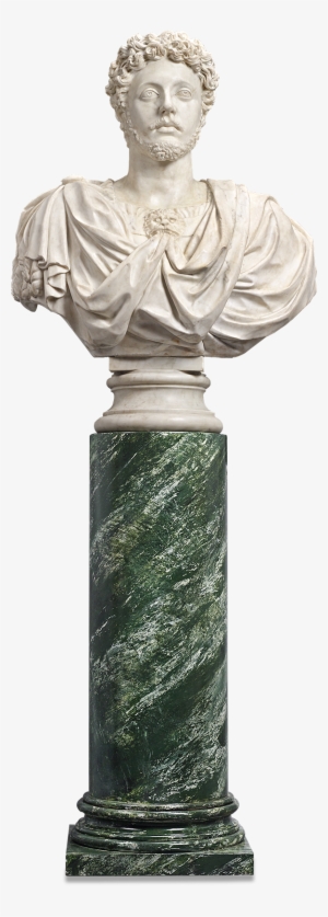 Bust