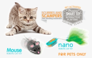 Hexbug Nano And Mouse Cat Toy - Petstages - Green Magic Boomerang Buddy Cat Toy - 1