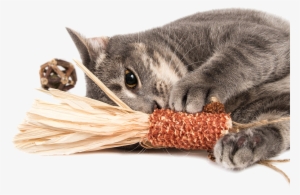 The Best For Your Cat All Natural Toy Made With Silver - Cat Toys