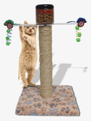Meal Dispensing Cat Toy Exercise Food Center Fights