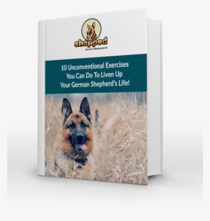 unconventional exercises for your gsd - german shepherd