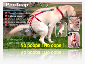 Pootrap For Dogs