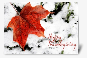 Red Maple Leaf, Canadian Thanksgiving Greeting Card - Party