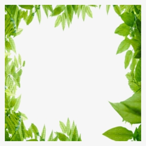 Green Leaves Frame, Fr - Cadre Feuille De Chene
