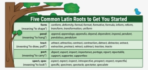 Teaching Latin Roots With Word Trees - Latin Root Words
