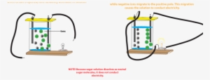 Why Does Salt Solution Conduct Electricity, While Sugar - Does Nacl Solution Conduct Electricity