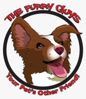 Furry Guys Pet Care
