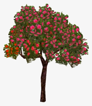 Red Rhododendron - Bougainvillea