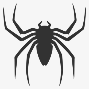 Lolth, Drow Goddess Of Chaos - Spiderman Back Spider Logo