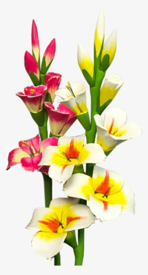 Gladiolus Png Photo - Gladiolus Flower Png