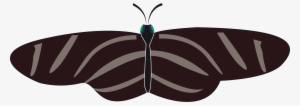 This Free Icons Png Design Of Butterfly Zebra Long