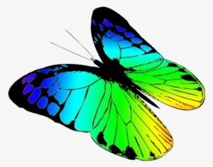 Butterfly Clipart - Clip Art Free Butterfly