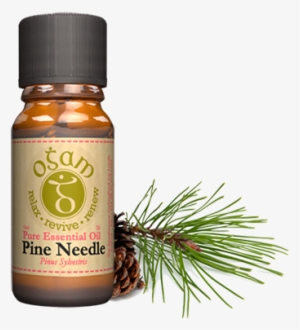 Pinus Sylvestris - Essential Oil