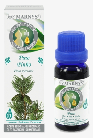 Pine Essential Oil - Aceite De Anis De Estrella