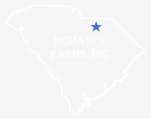 Top Quality Pine Needles - Mcmanus Farms, Inc.