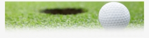 windsor golf club membership - transparent golf green