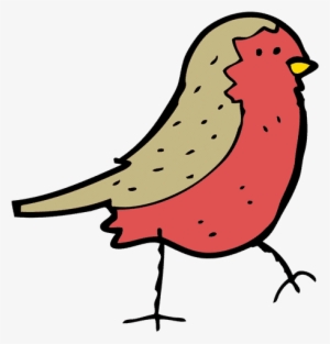Robin Bird - 0shares - Drawing