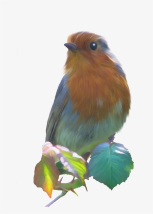 Smudge Painted Robin Png - European Robin