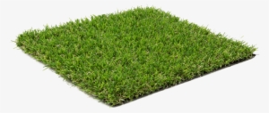 Evergreen - Artificial Grass 35mm