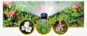 Save On Landscaping - Sprinkler And Flowers