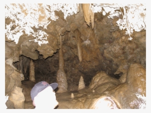 Pillars Stalegtites And Stalegmites - Oregon Caves National Monument