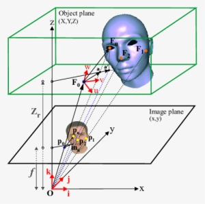 Projection Of A 3d Face Model M Into The Image Plane - Delaunay Triangulation