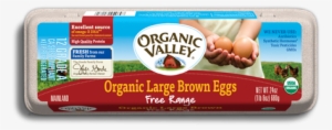 Egg Carton - Organic Valley Brown Egg