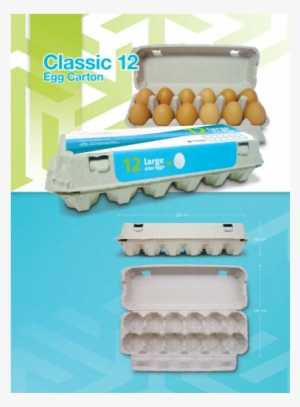 Egg Tray Carton - Pill