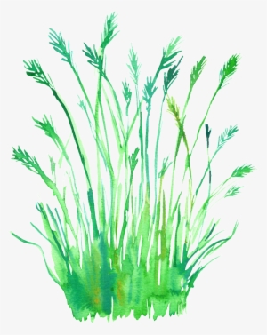 scented flower branches transparent decorative - grass