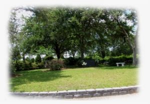 This Section Has Become A Highlight Of The Cemetery - Yard