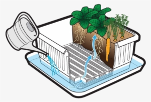 This Is A Healthy, Sustainable Way To Water Your Plants