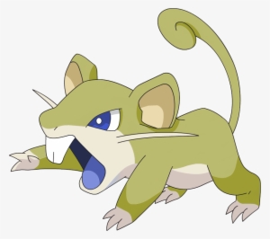 Free Rattata Raticate - Pokemon Rattata Shiny