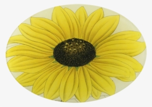Yellow Daisy Yellow Daisy - Sunflower