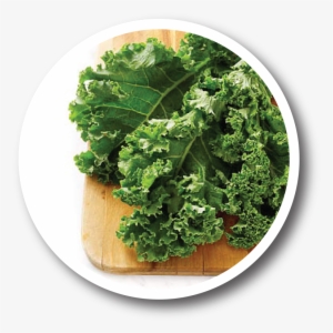 Performance Recipes - Health Benefits Of Kale