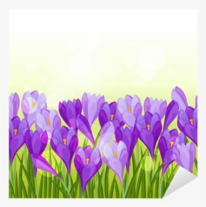 Spring Flowers Crocus Seamless Pattern Horizontal Border - Flower