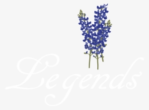 Site Image - Bluebonnet Flower Png