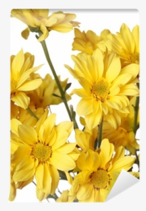 Close Up Of Yellow Daisy With On The White Wall Mural - Tickseed