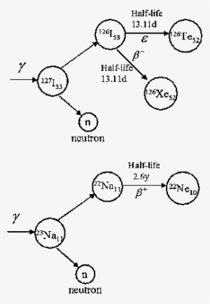 Transmutation Processes Of 23 Na And 127 I - Sodium
