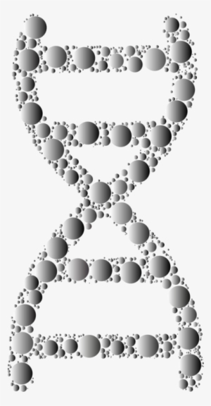 Nucleic Acid Double Helix Dna Molecular Biology - Nucleic Acid Double Helix