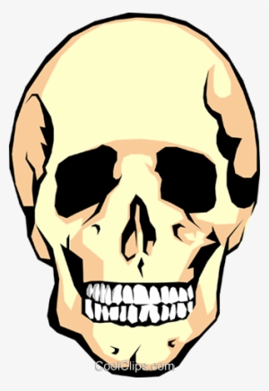 Human Skull Royalty Free Vector Clip Art Illustration