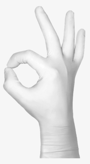 Next - Sign Language