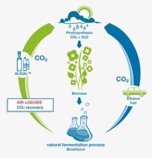 Co2 Cycle - Co2 Cycle For Bioethanol