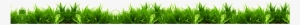 Green Grass Green Grass Free Vector - Lawn