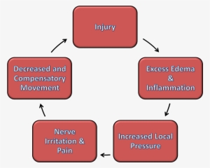 Injury-cycle - Benefits Of Icing Injury