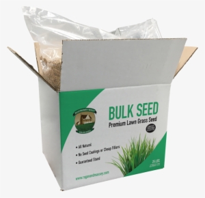 Mayberry™ Turf Seed - Lawn