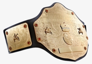 Post By Mr Wrestling Jr - World Heavyweight Champion Png