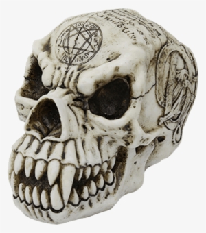 Werewolf Skull - 7.25 Inch Werewolf Engraved Skeleton Skull Resin Statue