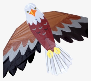 Bald Eagle Kite - Eagle Kites
